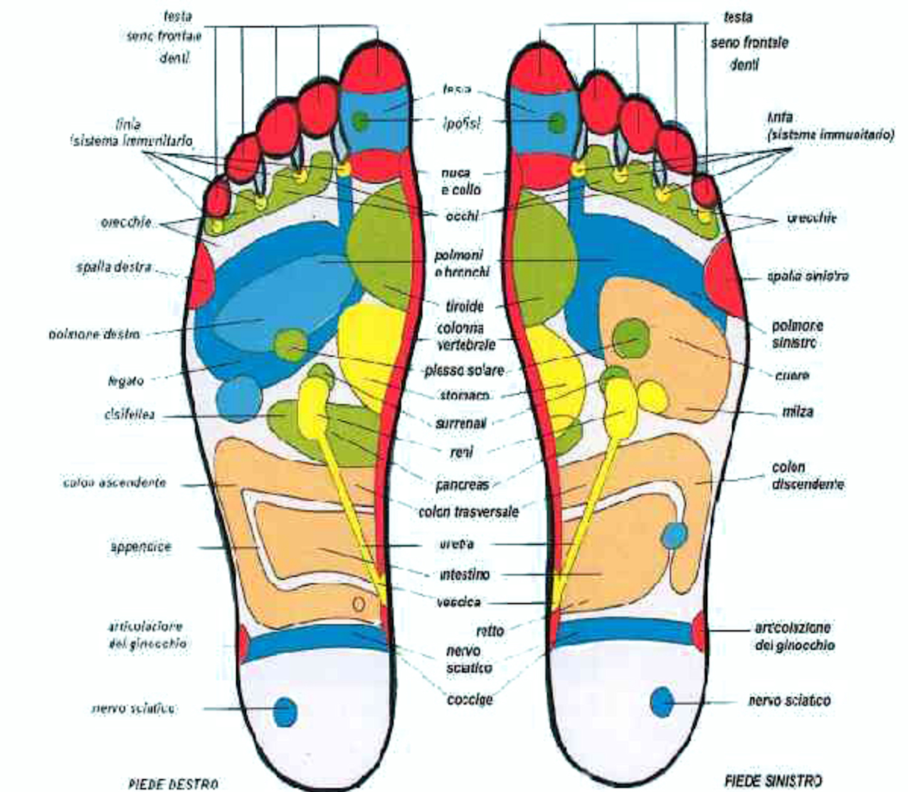 Riflessologia